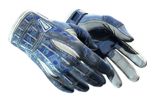 ★ Sport Gloves | Amphibious (Battle-Scarred)