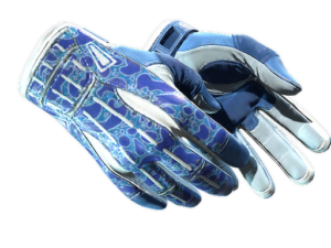 ★ Sport Gloves | Amphibious (Minimal Wear)