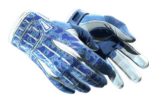 ★ Sport Gloves | Amphibious (Minimal Wear)