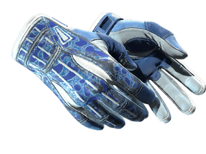★ Sport Gloves | Amphibious (Well-Worn)