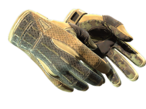 ★ Sport Gloves | Arid