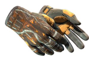★ Sport Gloves | Big Game