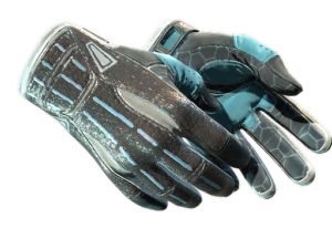 ★ Sport Gloves | Superconductor