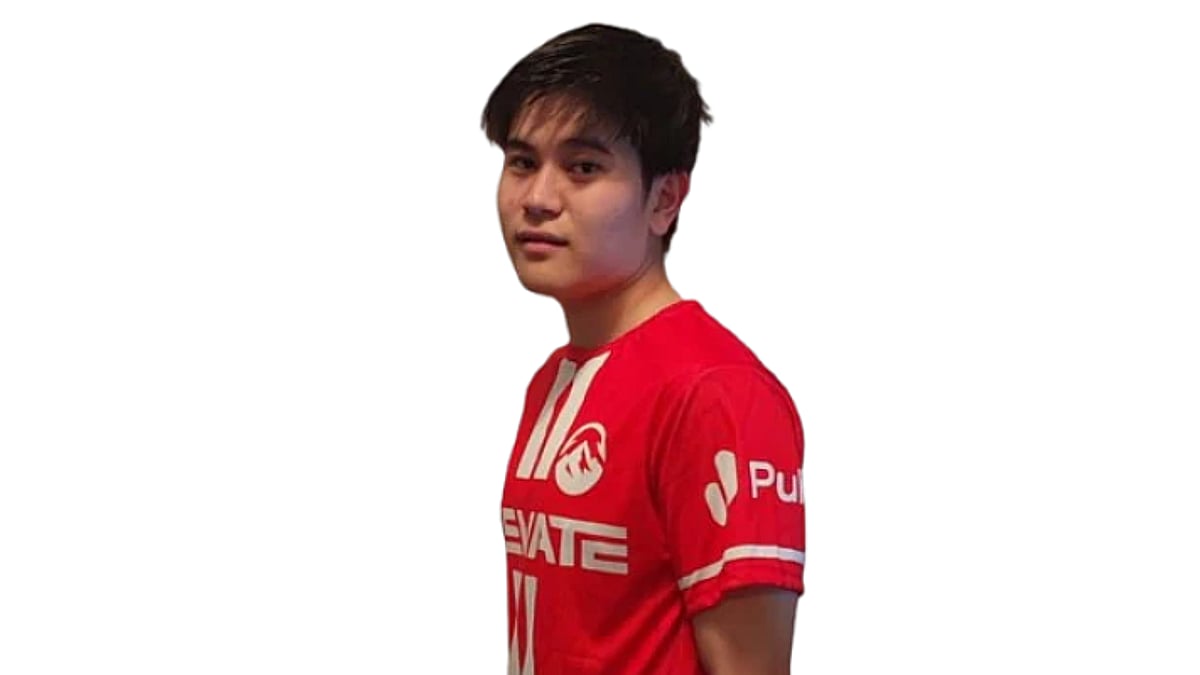 dth portrait