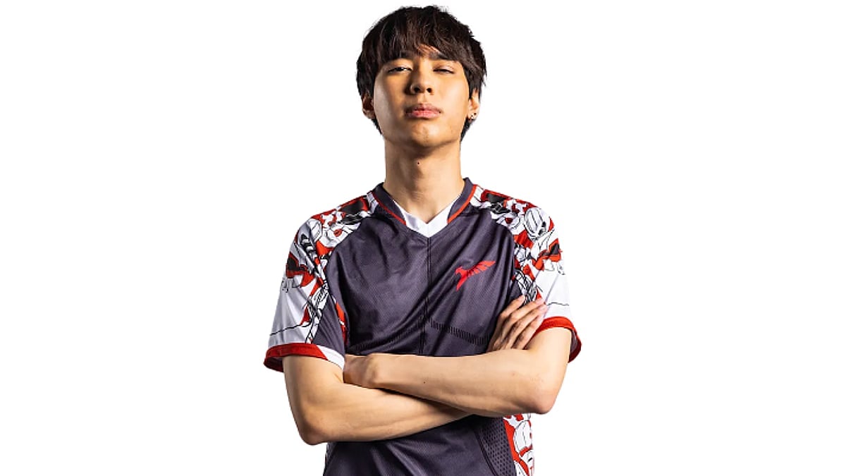 foxz portrait