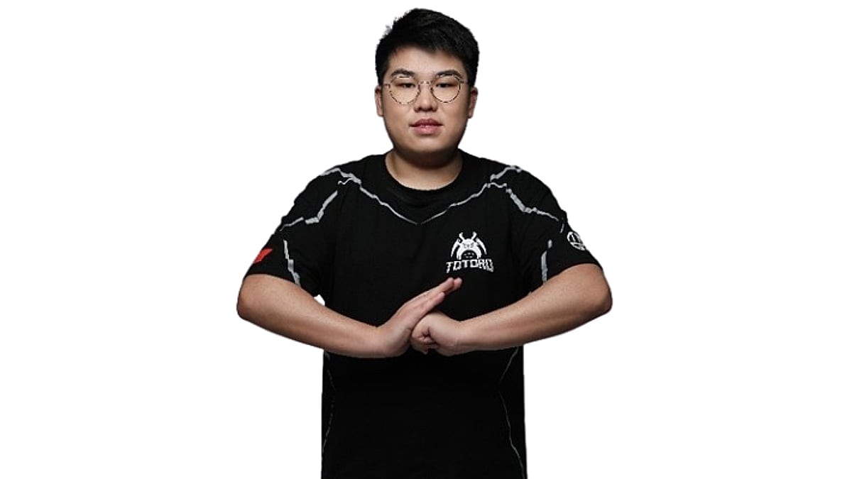 heybay portrait