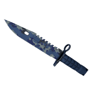 ★ M9 Bayonet | Bright Water (Minimal Wear)