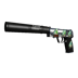 USP-S | Guardian