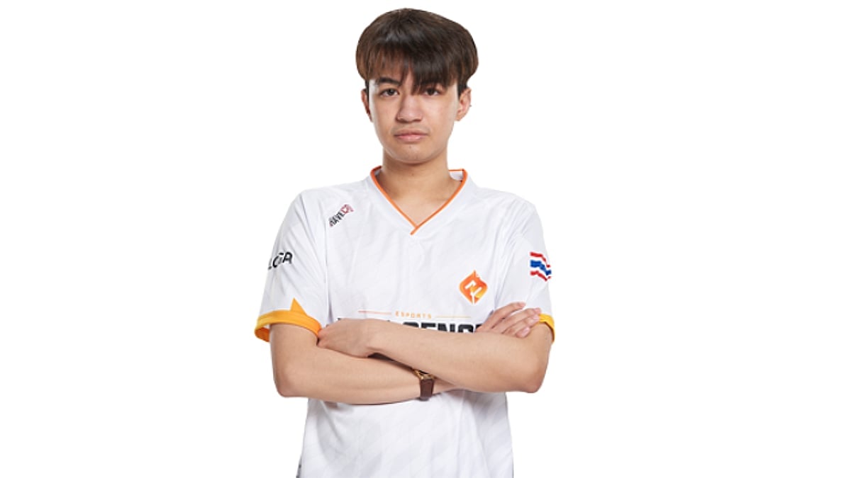 LAMMYSNAX portrait