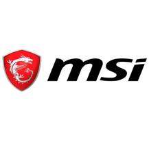MSI