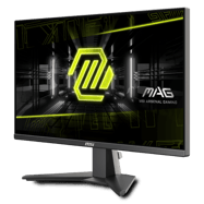 MSI MAG 255XFV