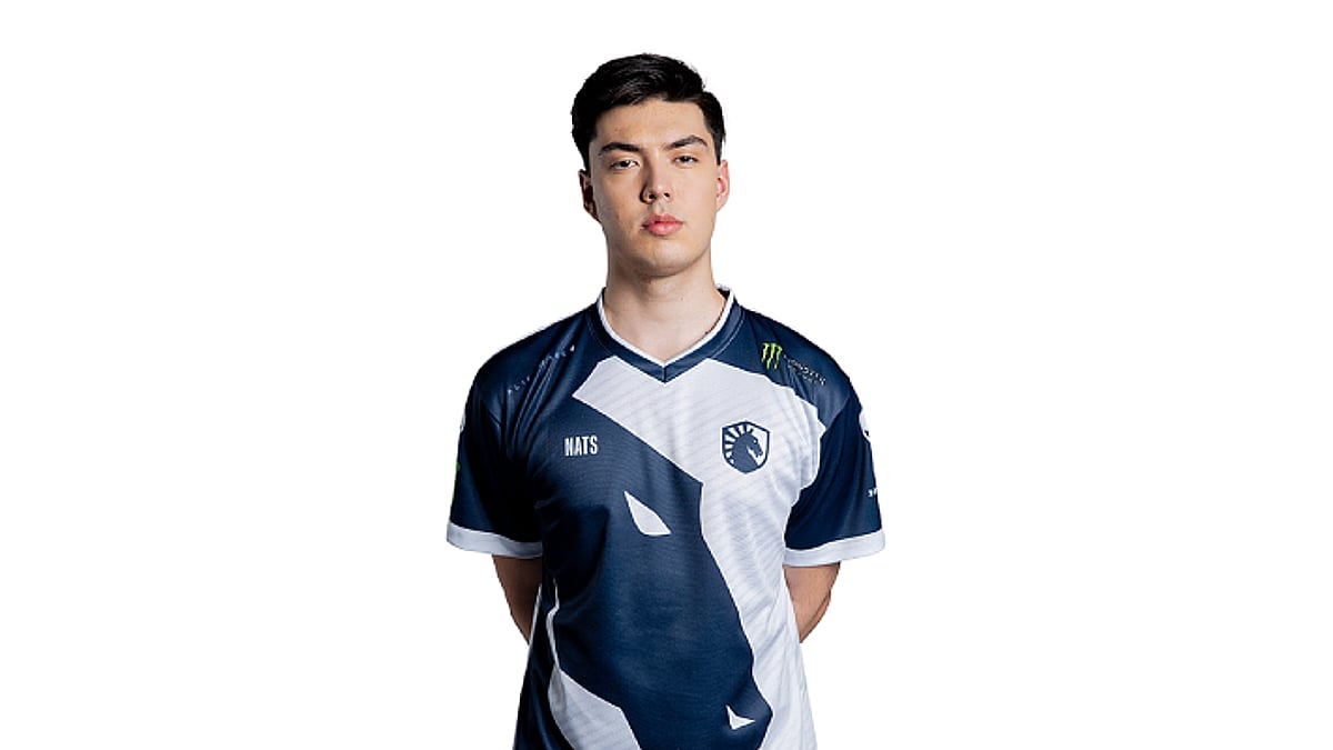 nAts portrait