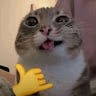 m3da