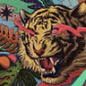 druxx-
