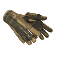 ★ Sport Gloves | Arid (Field-Tested)