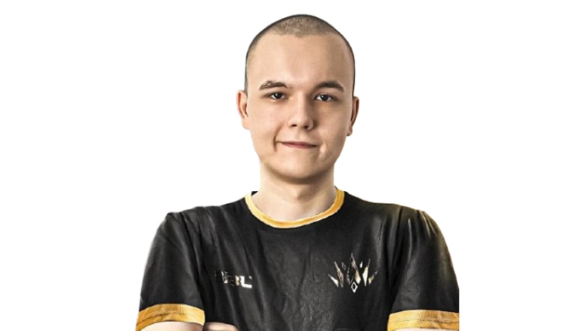 PROFEK portrait