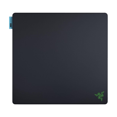 Razer Gigantus V2 Pro Control