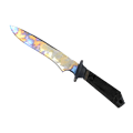 ★ Classic Knife | Case Hardened