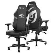 Secretlab Team Secret Edition