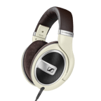 HD 599