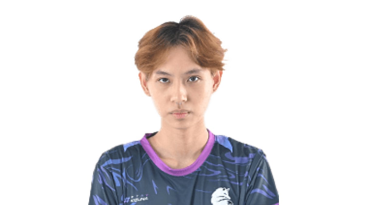 SHINSEI portrait