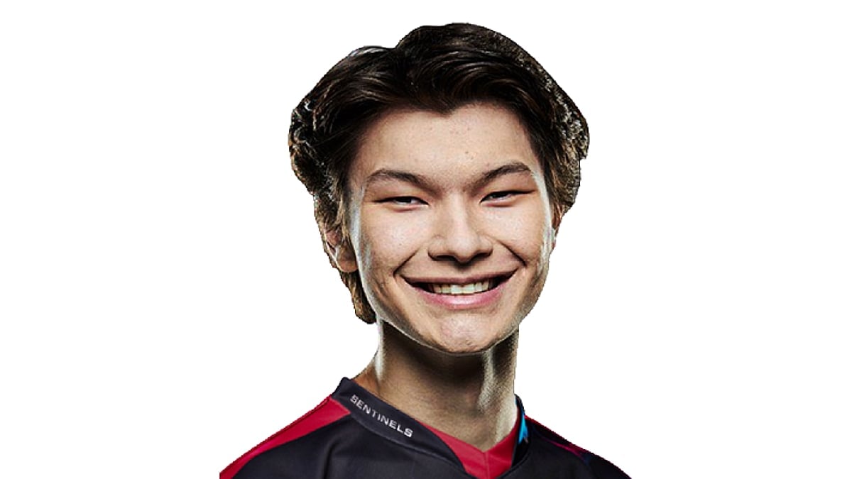 sinatraa portrait