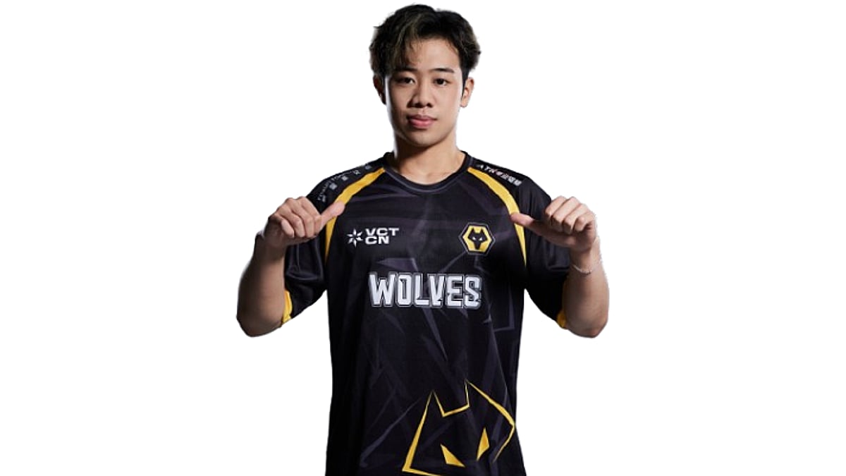 SiuFatBB portrait