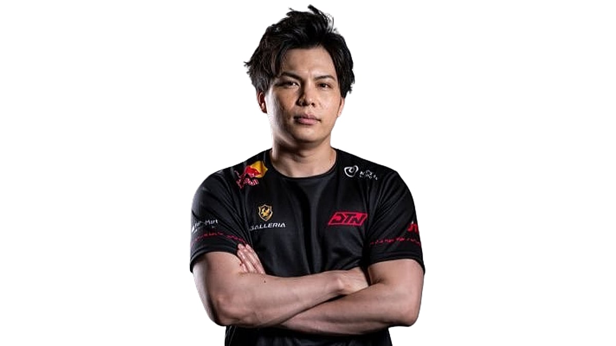 Surugamonkey portrait