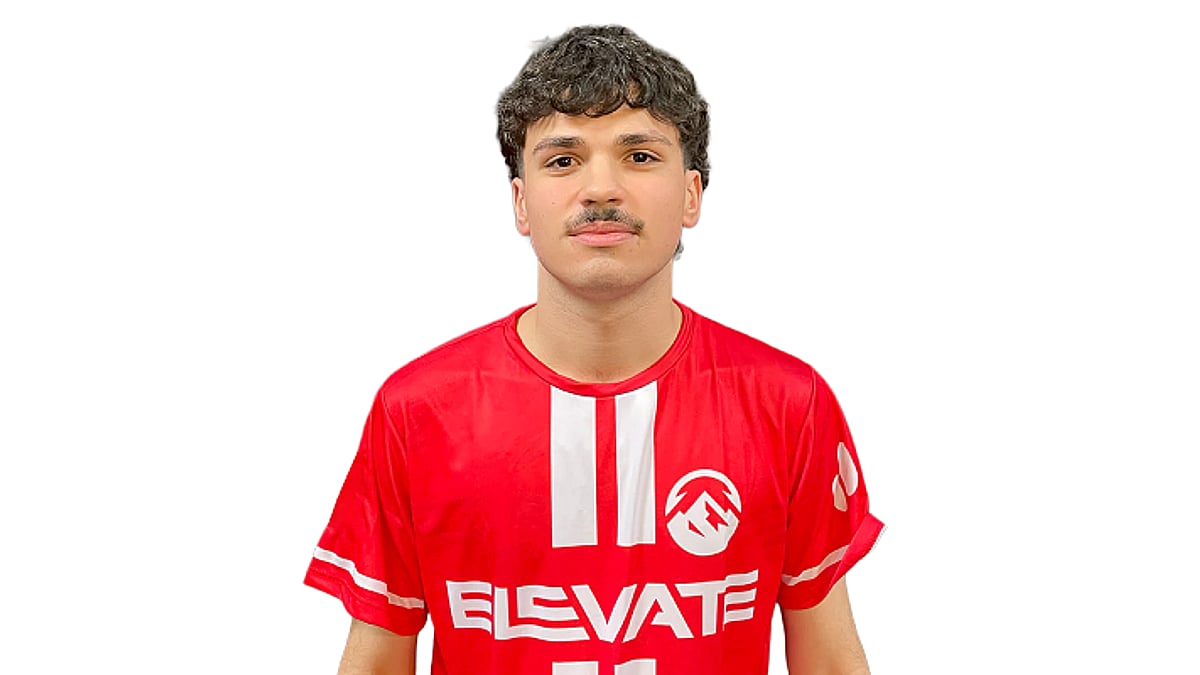 tiezzi portrait
