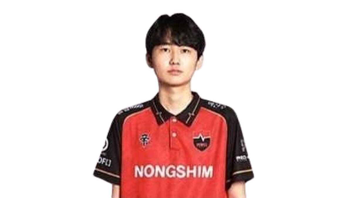 Xross portrait