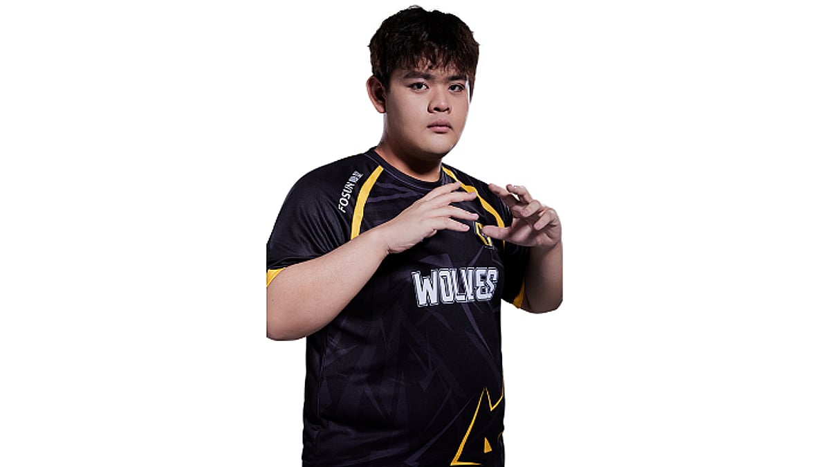 Yuicaw portrait